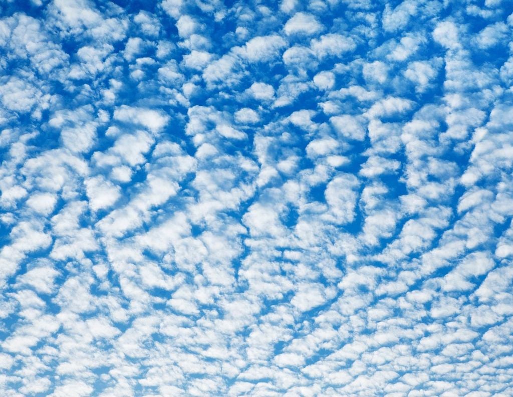 Altocúmulos floccus Altocúmulos floccus