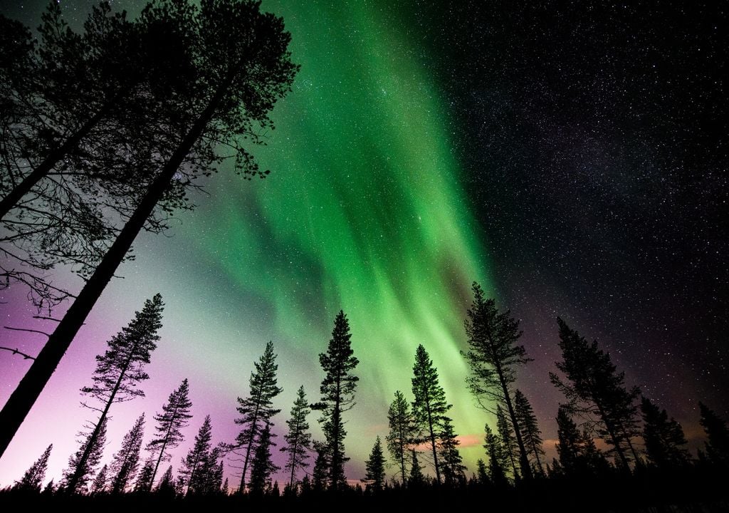 auroras australes auroras australes