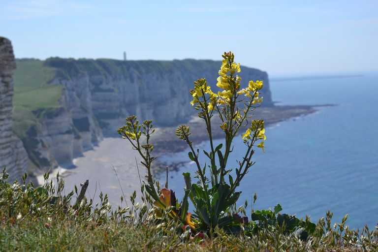 Le soleil sera présent au nord avec nettement moins de vent. Le soleil sera présent au nord avec nettement moins de vent.