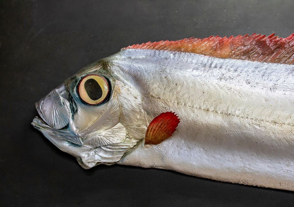 Nastro Elettrico Per Pesca Cavi 15 Piedi (4,5 M) – Acciaio Piatto – IDEAL EFT-15