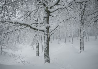 Sull'Italia si è appena sviluppato un rarissimo ciclone nevoso