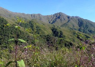 Un rincón del norte argentino donde la naturaleza se mantiene intacta, uno de los ecosistemas más puros del país 