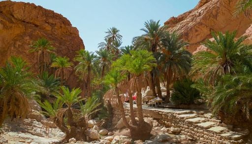 Un rinverdimento del Sahara comporter&agrave; fasi di siccit&agrave; sempre pi&ugrave; estreme per l'Europa meridionale?