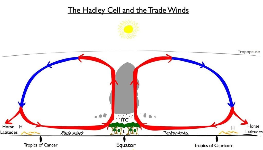 Ecco uno schema di rappresentazione della circolazione atmosferica che fa capo alla cosiddetta cella di Hadley.