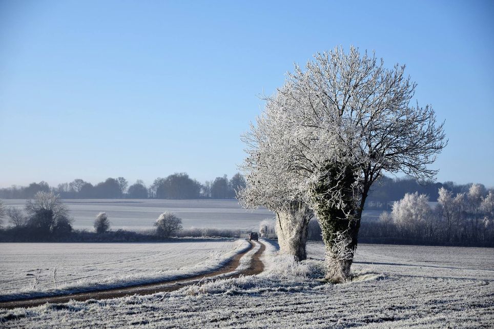 Un risque de neige en plaine pour ce week-end Un risque de neige en plaine pour ce week-end