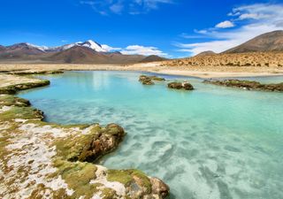 Un salar blanco, termas y lagunas de colores: conoce el tesoro escondido de Arica y Parinacota