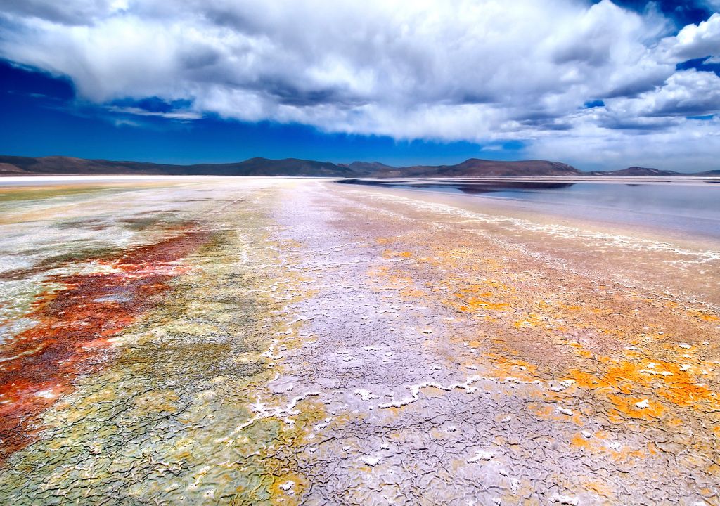 Salar de Surire, Putre, norte de Chile. Salar de Surire, Putre, norte de Chile.