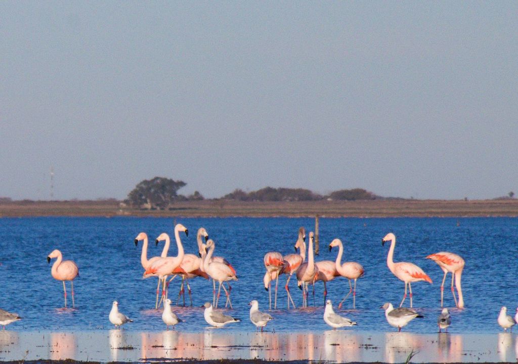 Melincue Santa Fe Melincue Santa Fe