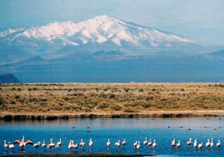 Un santuario natural argentino entra en una red internacional y sorprende al mundo cient&iacute;fico