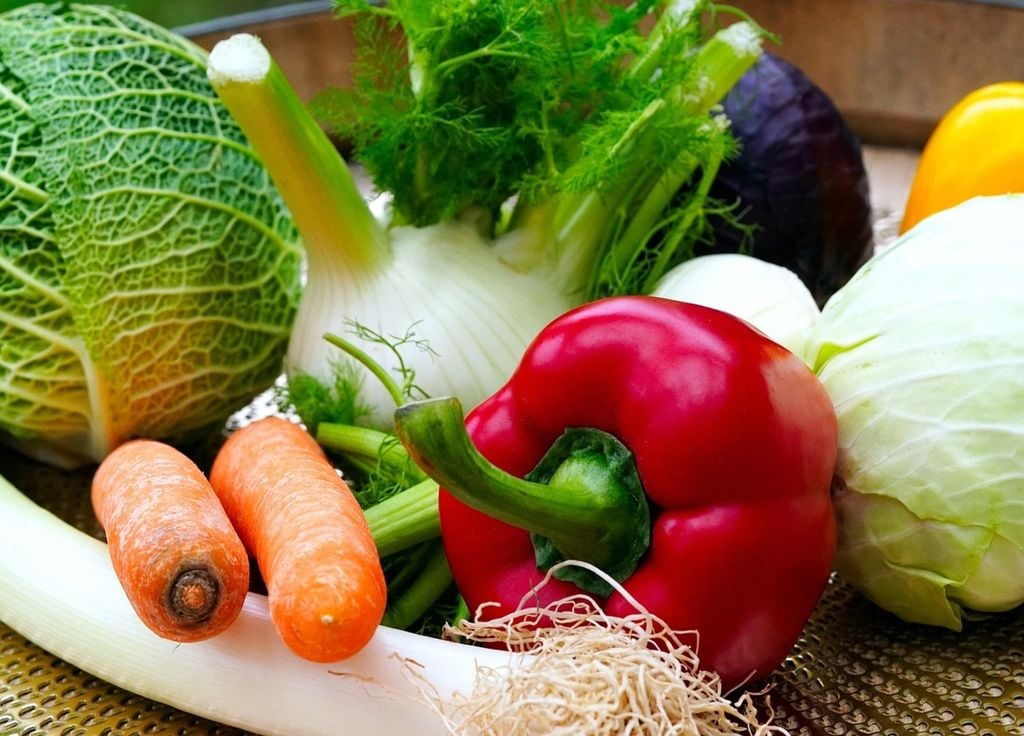 Many countries are unable to produce sufficient vegetables Many countries are unable to produce sufficient vegetables