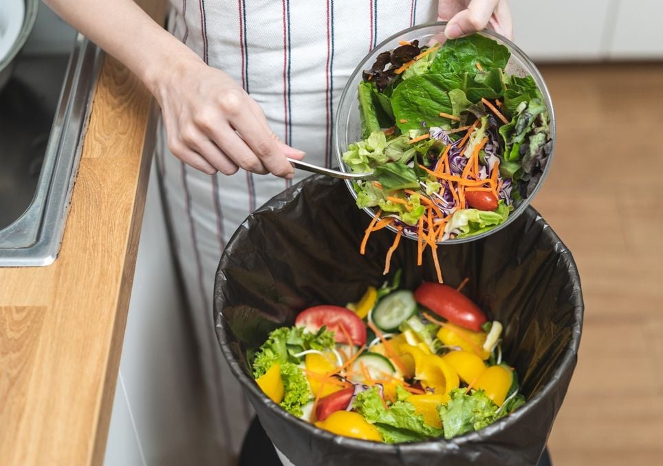 Un tercio de los alimentos producidos en la Tierra se desperdicia antes de llegar a la mesa, según un nuevo estudio. Noticias en tiempo real
