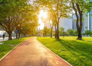 Un tiers des décès sont évitables simplement... en plantant des arbres !