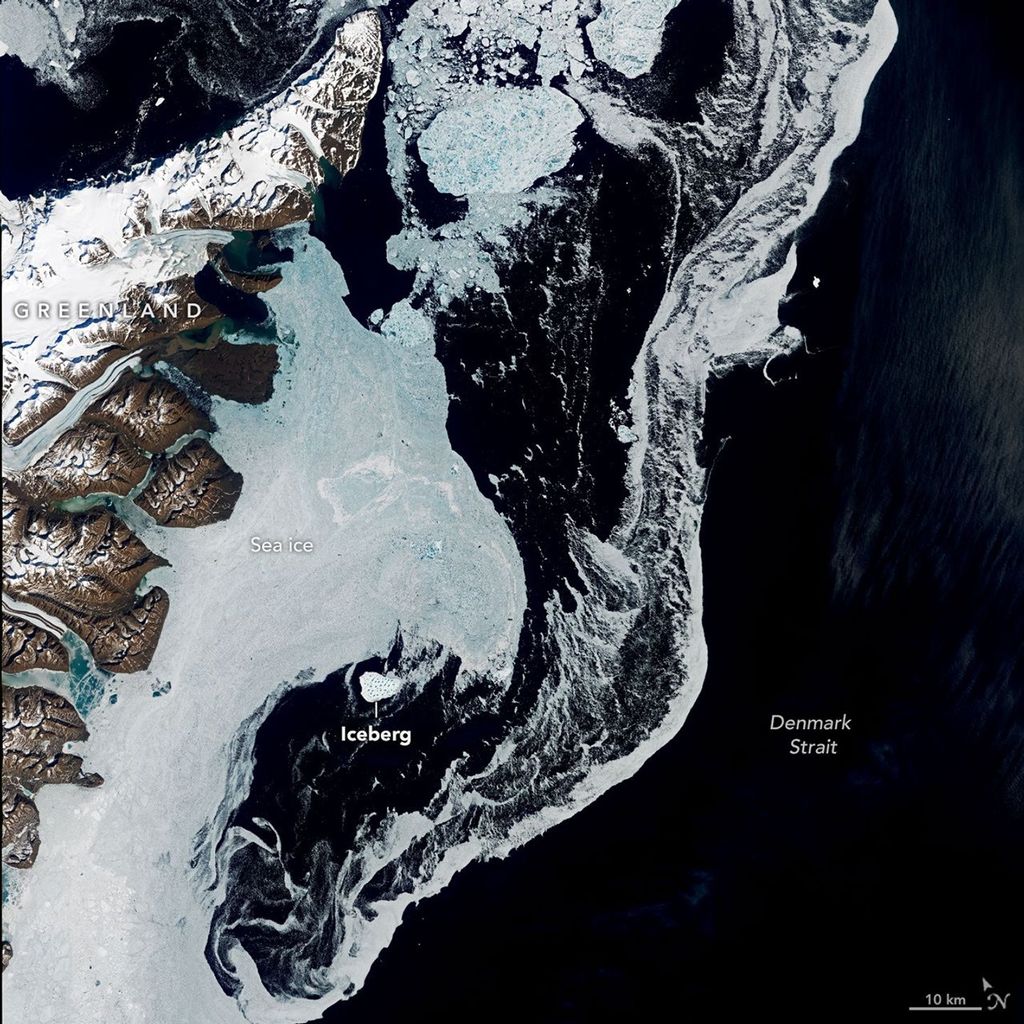 Una imagen satelital muestra las aguas azul oscuro del estrecho de Dinamarca con remolinos de hielo marino a la derecha del este de Groenlandia. Un iceberg blanco brillante se asienta en medio del hielo marino en la parte central izquierda de la escena. En esta imagen, captada el 12 de junio de 2026 por el sensor OLI (Operational Land Imager) del satélite Landsat 9, se observa un iceberg a la deriva en el estrecho de Dinamarca. NASA Earth Observatory/Lauren Dauphin