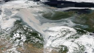 Un verano plagado de incendios forestales devastadores Un verano plagado de incendios forestales devastadores