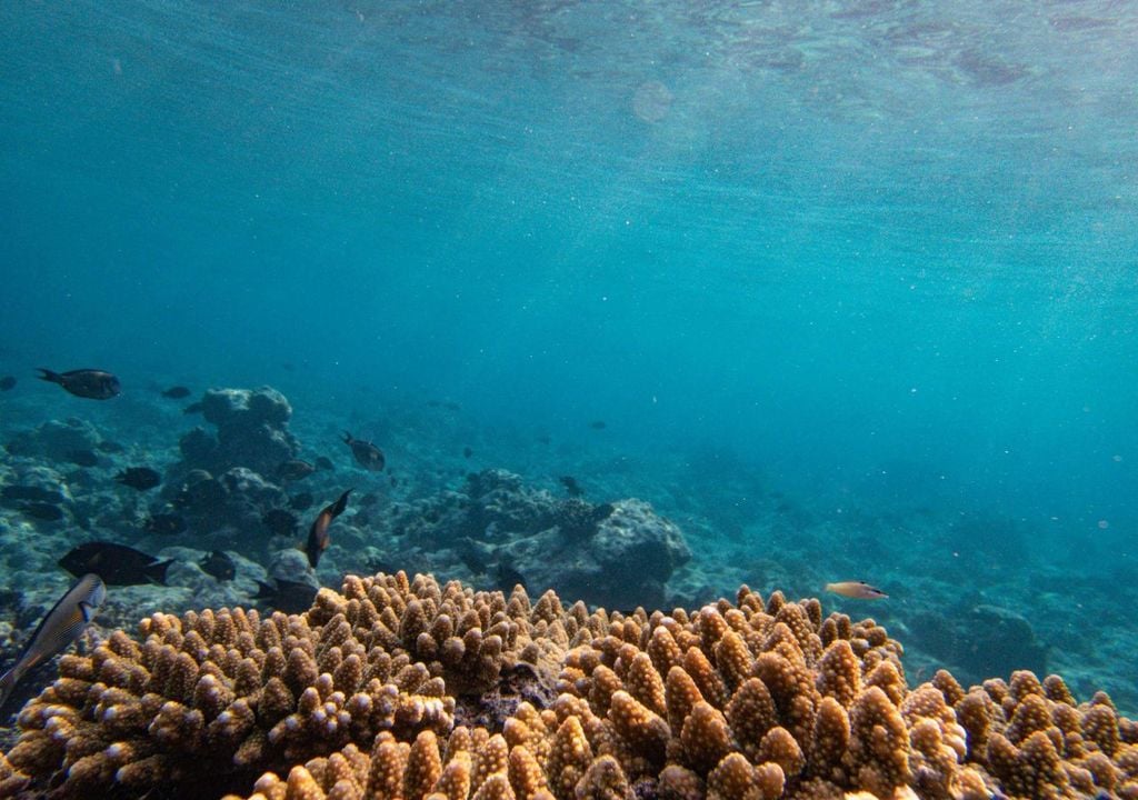 Este fenómeno no está relacionado con una erupción volcánica