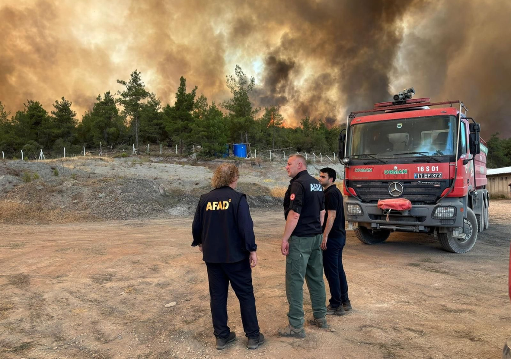 gestion del riesgo; desastre; Turquia; incendios forestales; fuego