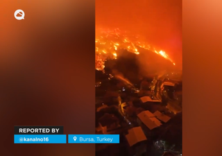 Un voraz incendio forestal arrasa con Bursa, Turquía, y avanza sin control hacia zonas residenciales
