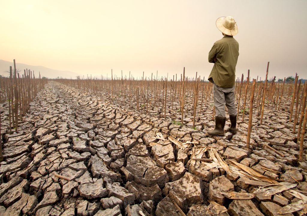 El "Gran El Niño" de 1877 fue un evento que paso a la historia tras causar una de las mayores crisis humanas.