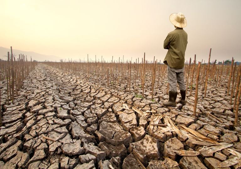 Una advertencia de hace 150 a&ntilde;os: lo que el "Gran El Ni&ntilde;o" de 1877 nos revela sobre los meses venideros