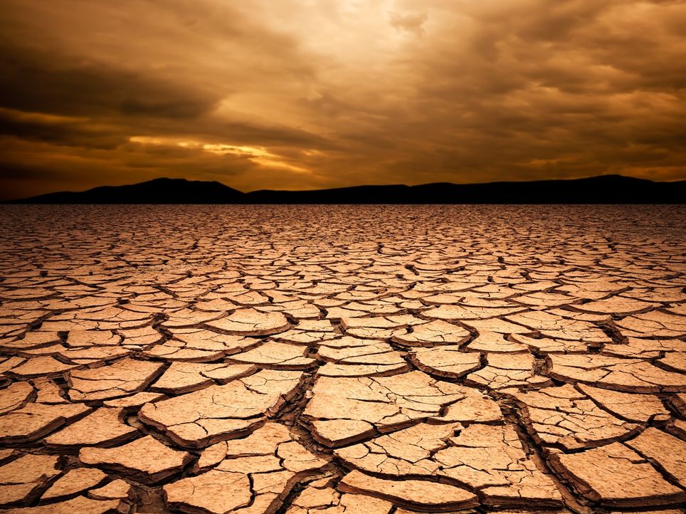 La Gran Muralla Verde de África, una ambiciosa iniciativa para combatir la desertificación en el Sahel. Noticias en tiempo real