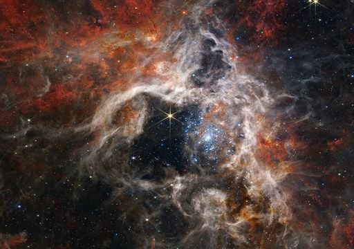 Una ara&ntilde;a c&oacute;smica que da vida al universo: la Nebulosa de la Tar&aacute;ntula y su impresionante f&aacute;brica de estrellas