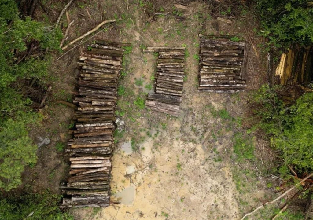 Los troncos se apilan en el terreno despejado que se extiende más de 13 km a través de la selva hasta Belém