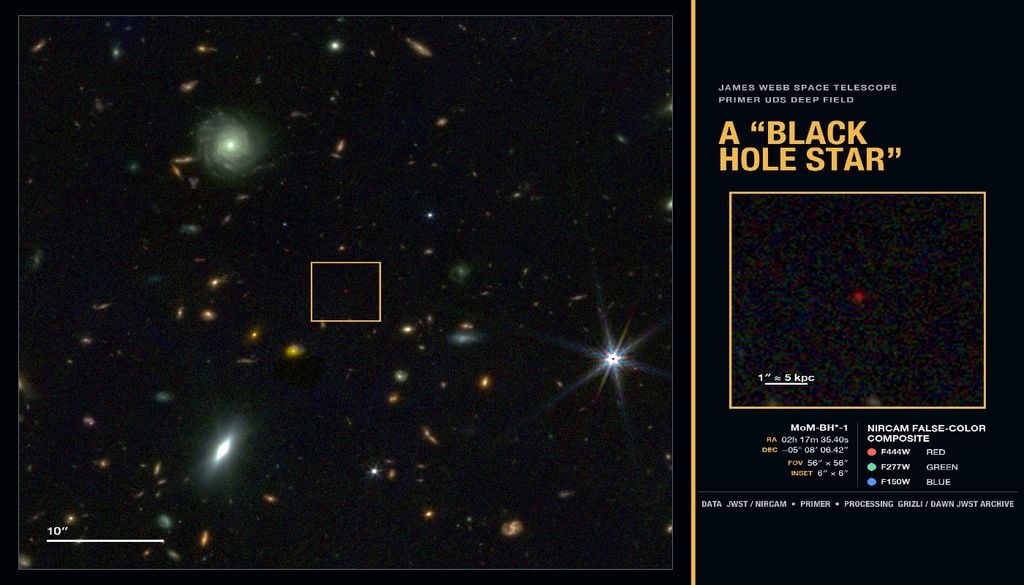 black hole star Immagine ottenuta con JWST in cui è stata scoperta la "black hole star". Credit: NASA, ESA, CSA, STScI, DAWN JWST Archive, PRIMER Survey (PI: James Dunlop); Visualization: Rohan Naidu (University of Hawai'i)