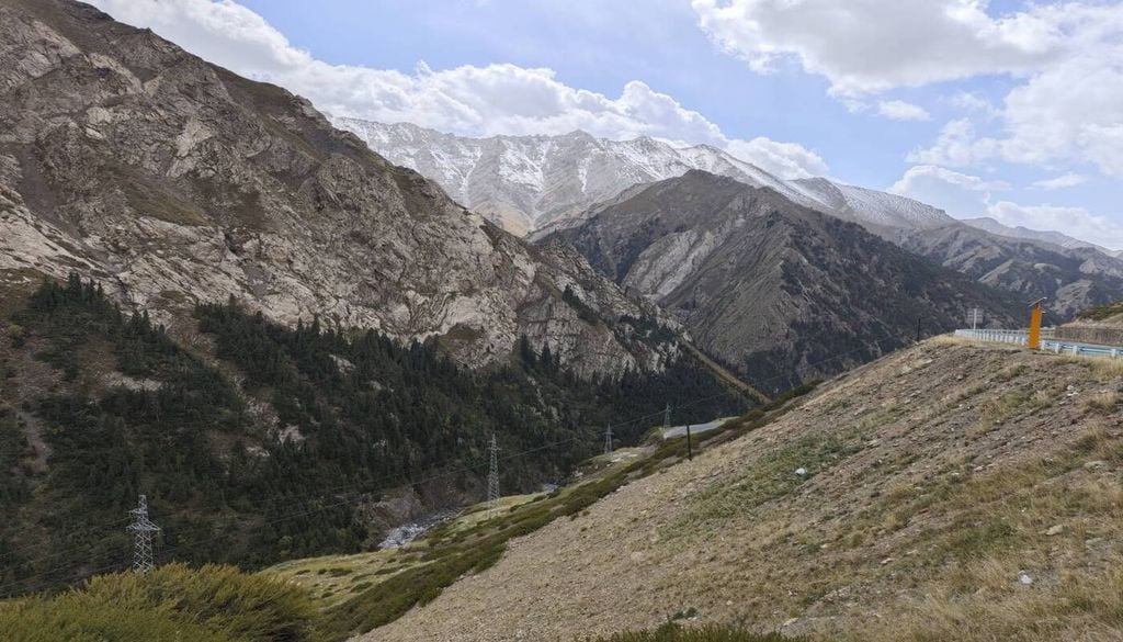 Zona de la cordillera donde se ha realizado el estudio.