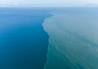 Una de las zonas m&aacute;s saladas del oc&eacute;ano se est&aacute; dulcificando: advierten de los impactos en la circulaci&oacute;n termohalina