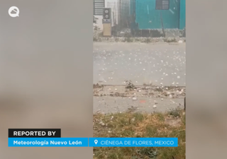 ¡Una gran granizada causa estragos en Ciénega de Flores, México! Algunas piedras tenían el tamaño de una bola de béisbol