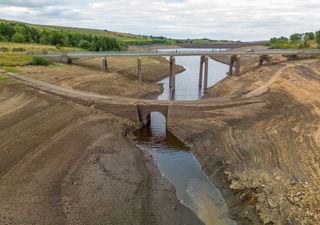 Una storica siccità sta colpendo il Regno Unito: diverse aree rimarranno senz'acqua se non arrivano le piogge 