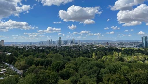 Una IA identifica &aacute;rboles desde el cielo y revela cu&aacute;les resisten mejor el calor en las ciudades