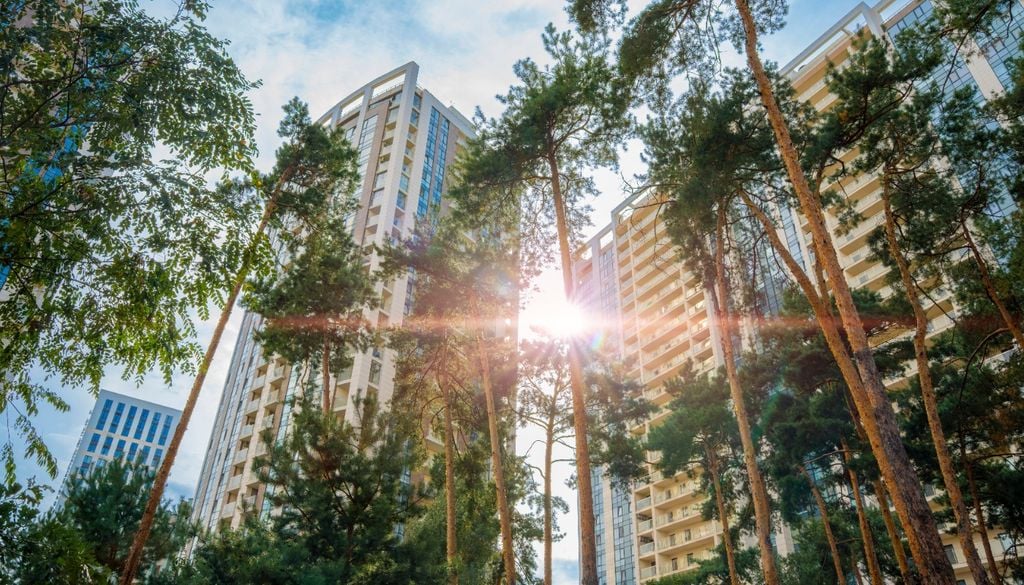 La vegetación urbana permite bajar el impacto del cemento y la formación de islas de calor.