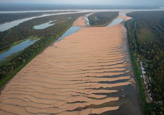 Investigação mostra que a seca na Amazónia pode ter efeitos duradouros no ciclo global do carbono