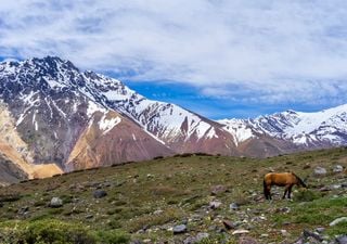 Una joya escondida en el Cajón del Maipo: termas, senderos y deportes de montaña a sólo dos horas de Santiago