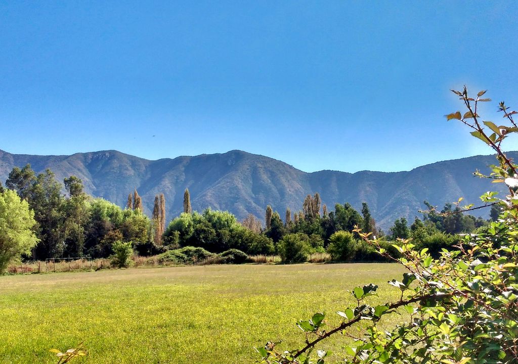 Doñihue, Región de O'Higgins.
