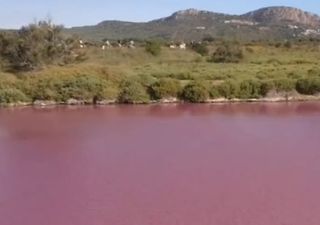 Unbelievable! A lagoon in Spain suddenly turns pink