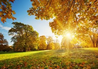 Il tempo questa settimana: lunga ottobrata per l'Italia, atteso caldo record sulle Alpi