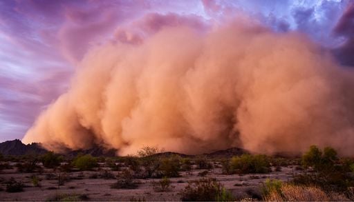 Una monumental nube de polvo cubre Guatrach&eacute; y desata el caos en La Pampa argentina