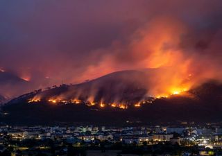 Una nueva normalidad: lo que deja la ola de calor extremo en Europa