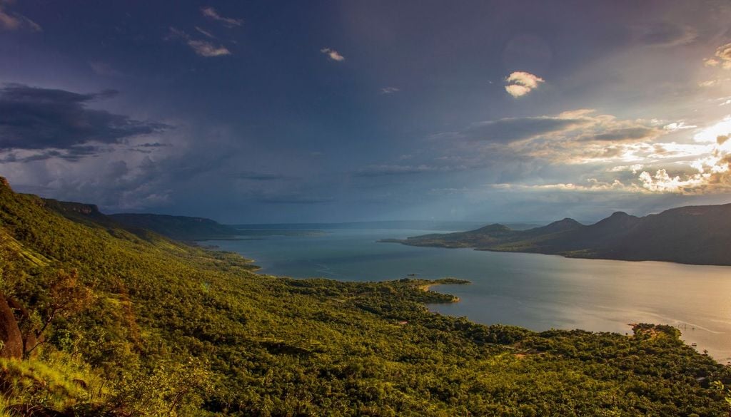 brasile dinosauri Il fiume e le foreste della regione a cui il Dasosauro deve il proprio nome