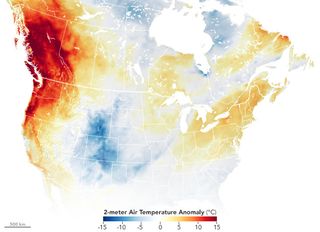 Una ola de calor excepcional golpea el noroeste del Pacífico