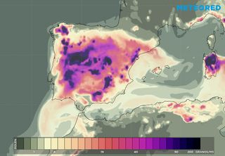 Una primavera nefasta para las personas alérgicas al polen