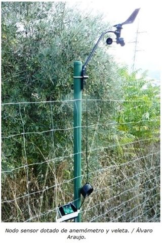 Una red de sensores contra los incendios forestales