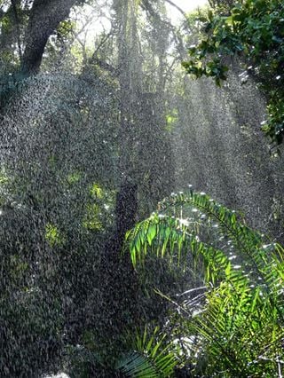 Una región del Amazonas genera su propia temporada de lluvias