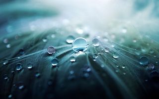 Una semana de ábregos y precipitaciones generalizadas