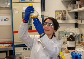 Una tesis en tres minutos y miles de votos: la chilena que llevó la nanotecnología médica al escenario global