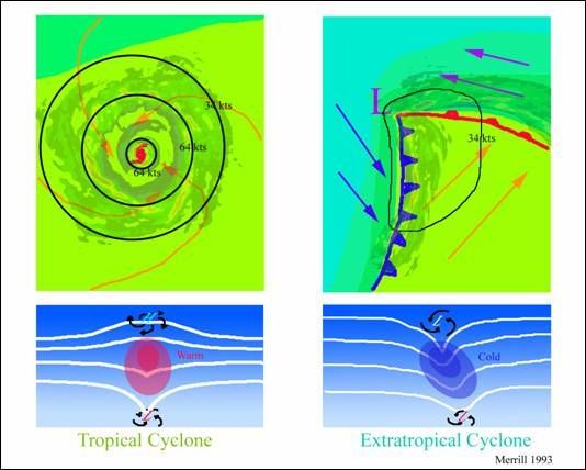 Unas Notas Sobre Ciclones Subtropicales E Híbridos. Parte I: Introducción Y Conceptos Básicos Unas Notas Sobre Ciclones Subtropicales E Híbridos. Parte I: Introducción Y Conceptos Básicos