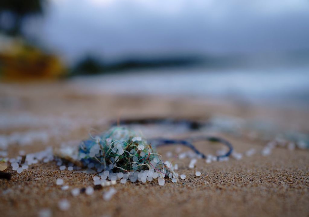 Understanding the environmental fate of secondary microplastics