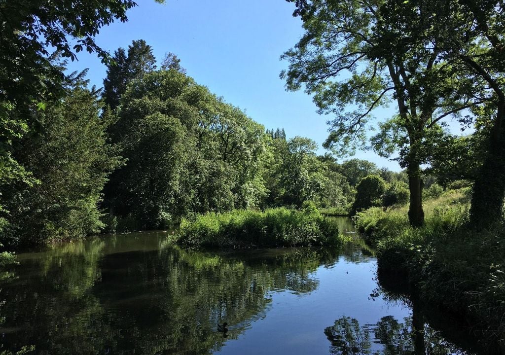 Underwater acoustic world of British ponds revealed